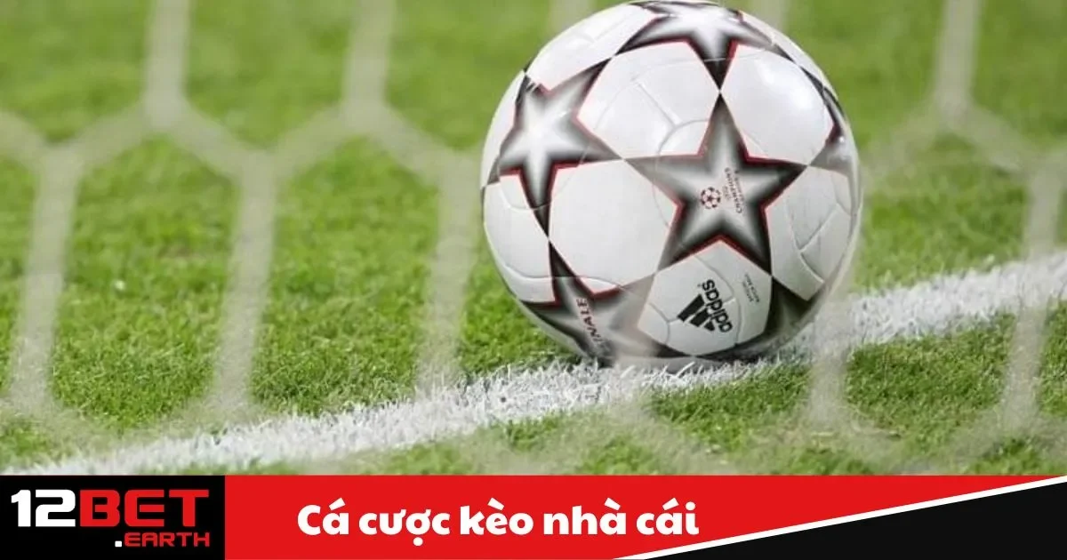 Cá Cược Kèo Nhà Cái – Hướng Dẫn Chơi Tại 12Bet 4 Cách Tham Gia Cá Cược Kèo Tại Nhà Cái 12Bet