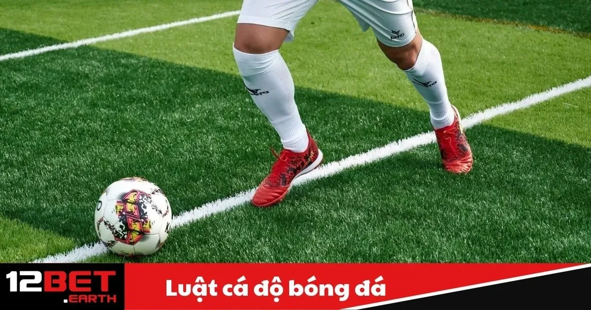 Luật Cá Độ Bóng Đá Là Gì? Những Quy Định Khi Chơi 2 luat ca do bong da1 3